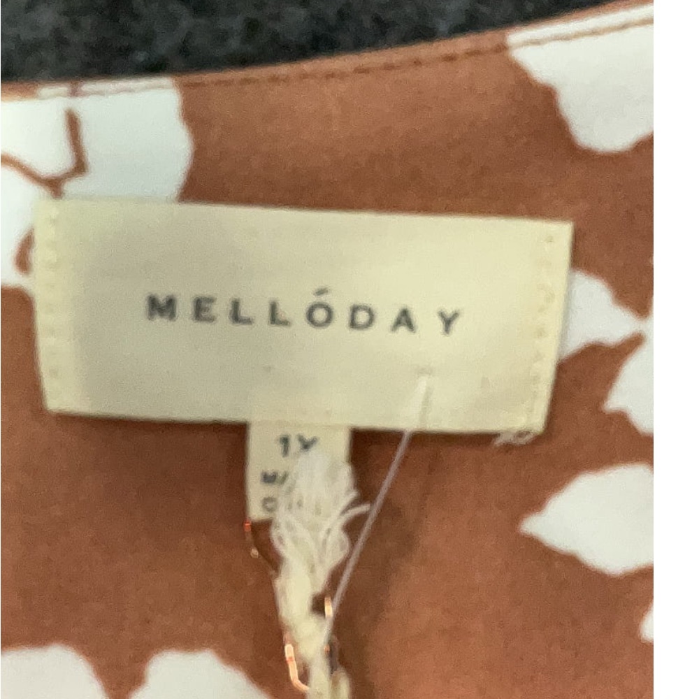 MELLODAY Floral V-Neck Blouse - White and Brown - Picture 5 of 7